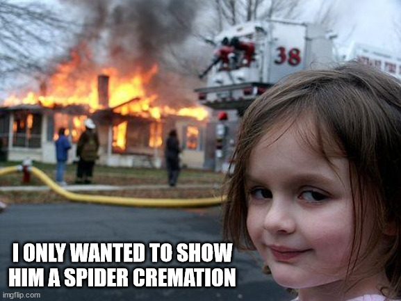 Disaster Girl Meme | I ONLY WANTED TO SHOW HIM A SPIDER CREMATION | image tagged in memes,disaster girl | made w/ Imgflip meme maker