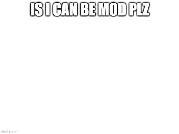 hiiii | IS I CAN BE MOD PLZ | image tagged in blank white template | made w/ Imgflip meme maker