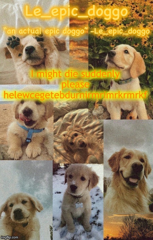 Doggo temp by doggo. Wait what that’s confusing | I might die suddenly please helewcegetebdurnirmrimrkrmrkf | image tagged in doggo temp by doggo wait what that s confusing | made w/ Imgflip meme maker