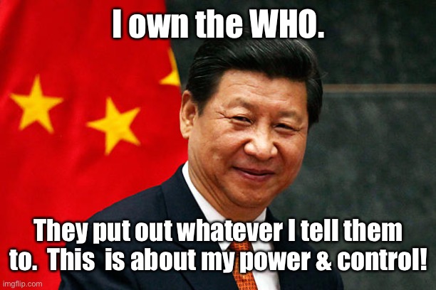 Xi Jinping | I own the WHO. They put out whatever I tell them to.  This  is about my power & control! | image tagged in xi jinping | made w/ Imgflip meme maker