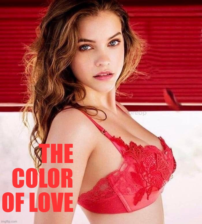 Barbara Palvin | THE COLOR OF LOVE | image tagged in barbara palvin | made w/ Imgflip meme maker