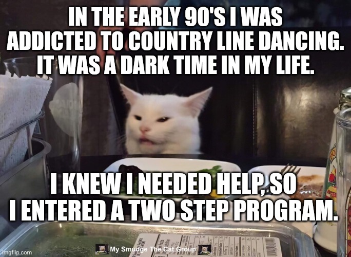 IN THE EARLY 90'S I WAS ADDICTED TO COUNTRY LINE DANCING. IT WAS A DARK TIME IN MY LIFE. I KNEW I NEEDED HELP, SO I ENTERED A TWO STEP PROGRAM. | image tagged in smudge the cat | made w/ Imgflip meme maker