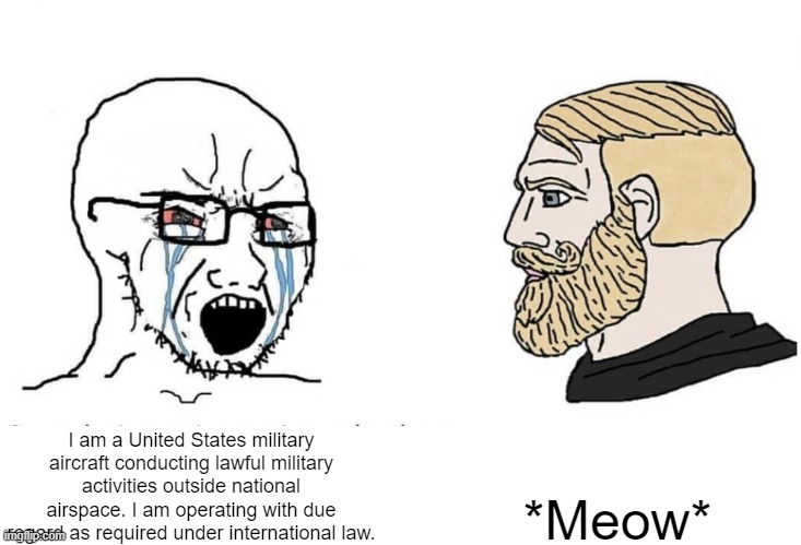 Soyboy Vs Yes Chad | *Meow*; I am a United States military aircraft conducting lawful military activities outside national airspace. I am operating with due regard as required under international law. | image tagged in soyboy vs yes chad | made w/ Imgflip meme maker