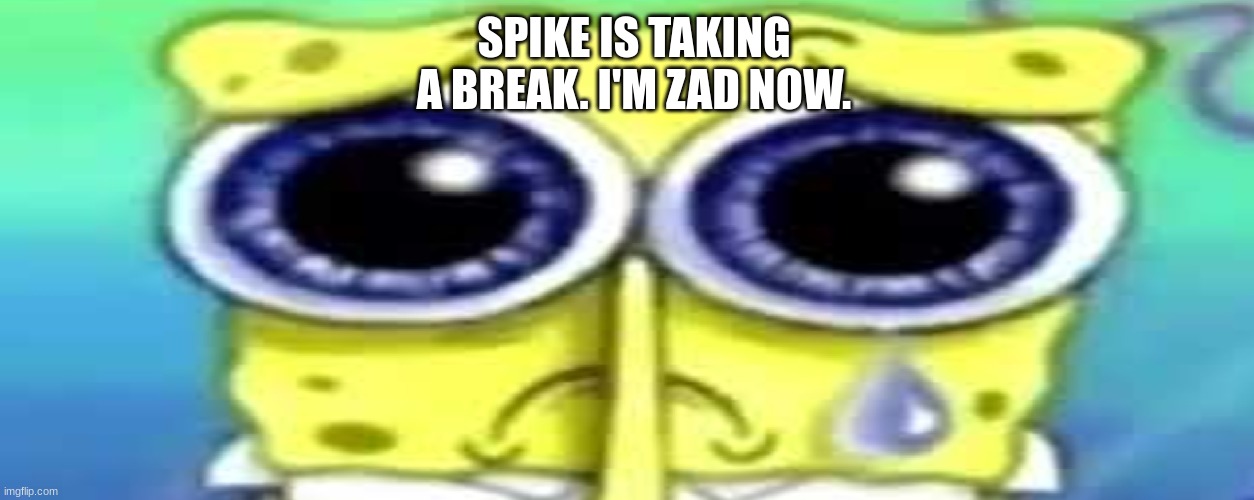 Sad Spong | SPIKE IS TAKING A BREAK. I'M ZAD NOW. | image tagged in sad spong | made w/ Imgflip meme maker