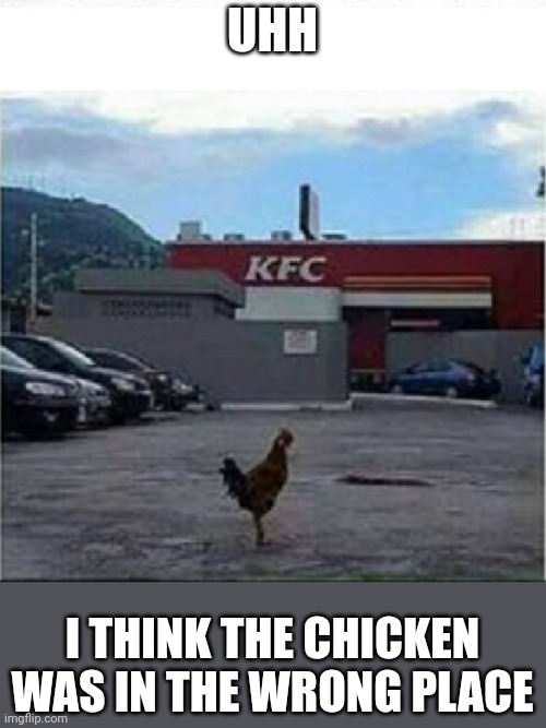 run chick! | UHH; I THINK THE CHICKEN WAS IN THE WRONG PLACE | image tagged in kfc chicken,kfc | made w/ Imgflip meme maker