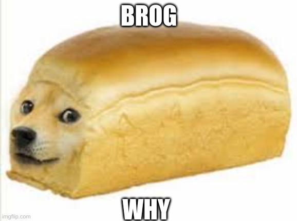 Doge bread | BROG; WHY | image tagged in doge bread | made w/ Imgflip meme maker