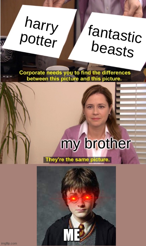 They're The Same Picture Meme | harry potter; fantastic beasts; my brother; ME | image tagged in memes,they're the same picture | made w/ Imgflip meme maker