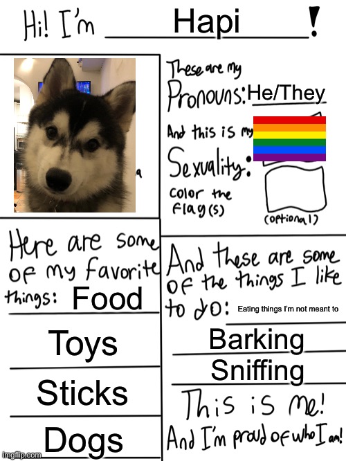 My dog deserves one | Hapi; He/They; Food; Eating things I’m not meant to; Toys; Barking; Sniffing; Sticks; Dogs | image tagged in lgbtq stream account profile | made w/ Imgflip meme maker