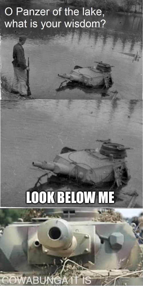LOOK BELOW ME | image tagged in panzer of the lake wisdom,panzer cowabunga it is | made w/ Imgflip meme maker