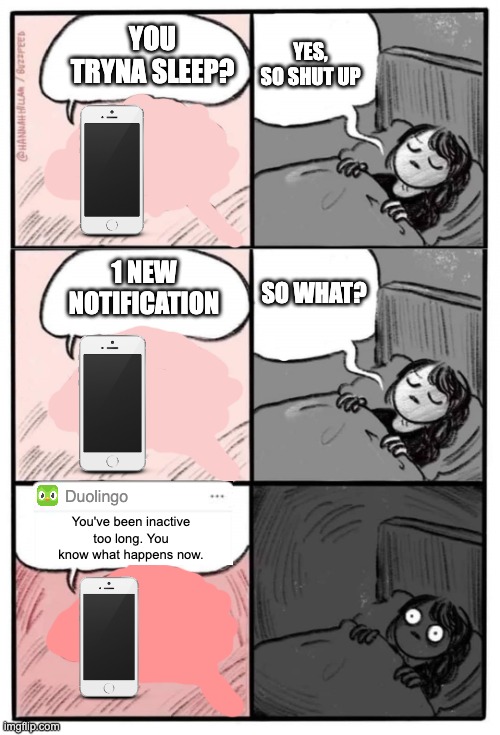 Brain Before Sleep - Extended Cut | YOU TRYNA SLEEP? YES, SO SHUT UP; SO WHAT? 1 NEW NOTIFICATION; Duolingo; You've been inactive too long. You know what happens now. | image tagged in brain before sleep - extended cut | made w/ Imgflip meme maker