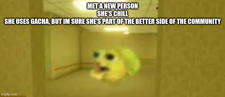 pufferfish in the backrooms | MET A NEW PERSON
SHE'S CHILL
SHE USES GACHA, BUT IM SURE SHE'S PART OF THE BETTER SIDE OF THE COMMUNITY | image tagged in pufferfish in the backrooms | made w/ Imgflip meme maker