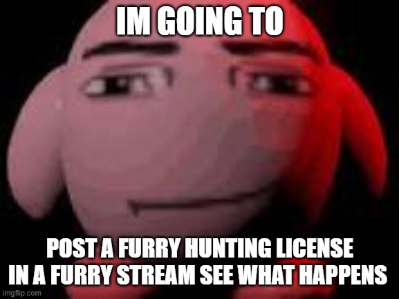 man face kirby | IM GOING TO; POST A FURRY HUNTING LICENSE IN A FURRY STREAM SEE WHAT HAPPENS | image tagged in man face kirby | made w/ Imgflip meme maker