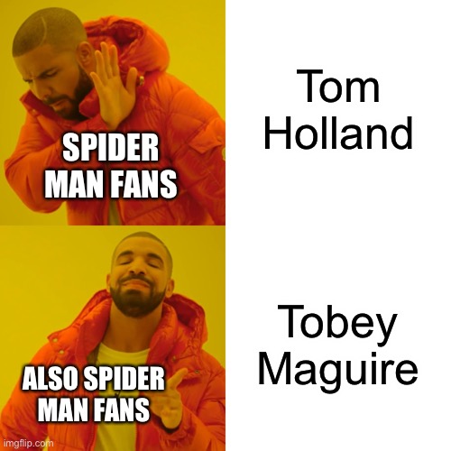 Sheeeesh | Tom Holland; SPIDER MAN FANS; Tobey Maguire; ALSO SPIDER MAN FANS | image tagged in memes,drake hotline bling | made w/ Imgflip meme maker