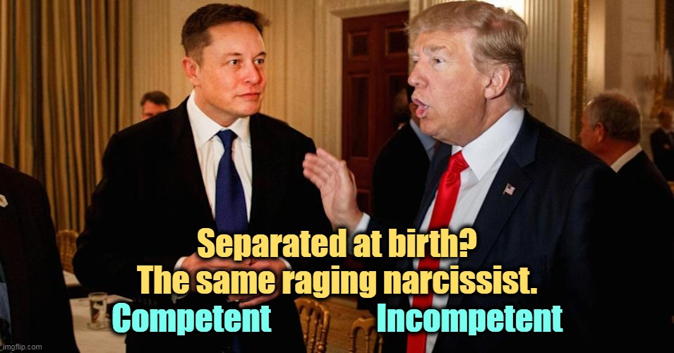 Musk is good at his job. Trump isn't. Otherwise they're the same animal, exceptionally selfish and indifferent to others. | Separated at birth?
The same raging narcissist. Competent                 Incompetent | image tagged in musk,trump,same,animal | made w/ Imgflip meme maker