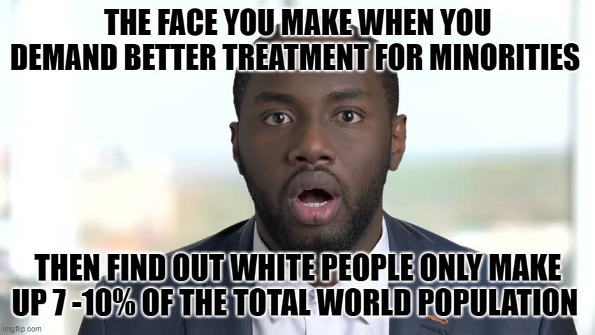 how can 10% of the population be responsible for 90% of the population's problems? | THE FACE YOU MAKE WHEN YOU DEMAND BETTER TREATMENT FOR MINORITIES; THEN FIND OUT WHITE PEOPLE ONLY MAKE UP 7 -10% OF THE TOTAL WORLD POPULATION | image tagged in stupid liberals,facts,political meme,funny memes,weird,truth | made w/ Imgflip meme maker