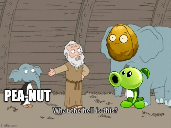a Pea-nut | PEA-NUT | image tagged in what the hell is this,pvz | made w/ Imgflip meme maker