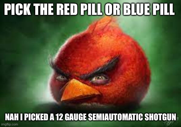 Pick one | PICK THE RED PILL OR BLUE PILL; NAH I PICKED A 12 GAUGE SEMIAUTOMATIC SHOTGUN | image tagged in realistic red angry birds | made w/ Imgflip meme maker
