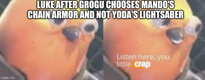 WARNING!! CONTAINS SPOILERS TO BOOK OF BOBA FETT | LUKE AFTER GROGU CHOOSES MANDO'S CHAIN ARMOR AND NOT YODA'S LIGHTSABER; crap | image tagged in birds,grogu,luke skywalker,the mandalorian,yoda,crap | made w/ Imgflip meme maker