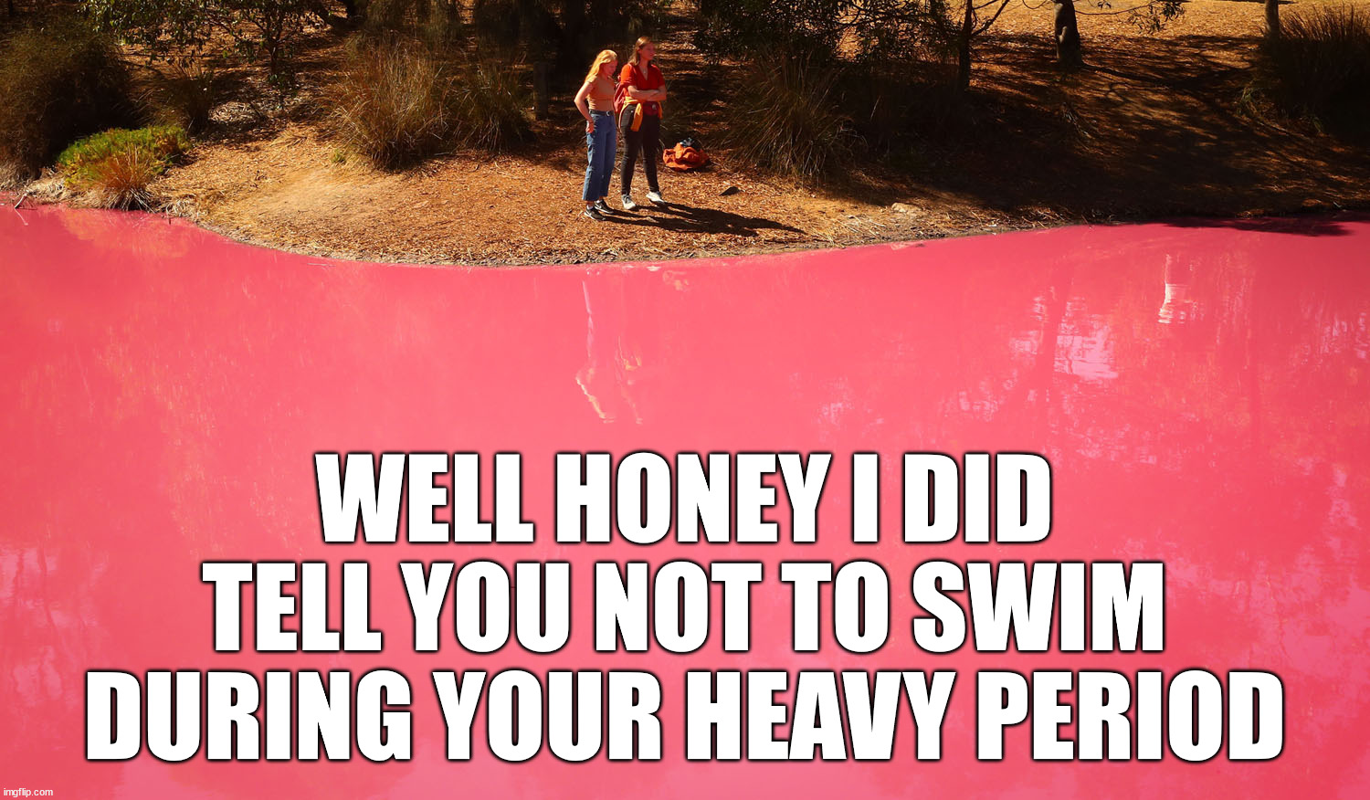 WELL HONEY I DID TELL YOU NOT TO SWIM DURING YOUR HEAVY PERIOD | image tagged in grossed out | made w/ Imgflip meme maker