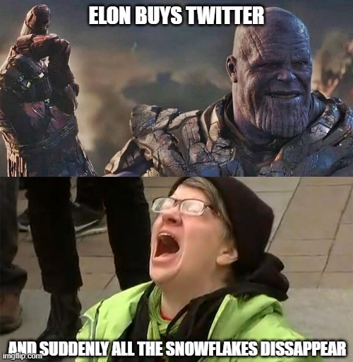 ELON BUYS TWITTER; AND SUDDENLY ALL THE SNOWFLAKES DISSAPPEAR | image tagged in twitter melt down,snowflakes,twitter meme,snowflake meme | made w/ Imgflip meme maker