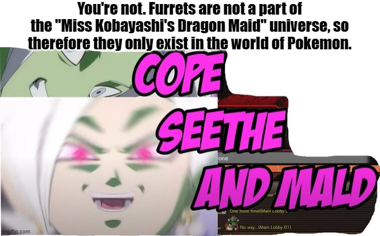 Cope, Seethe, And Mald | You're not. Furrets are not a part of the "Miss Kobayashi's Dragon Maid" universe, so therefore they only exist in the world of Pokemon. | image tagged in cope seethe and mald | made w/ Imgflip meme maker