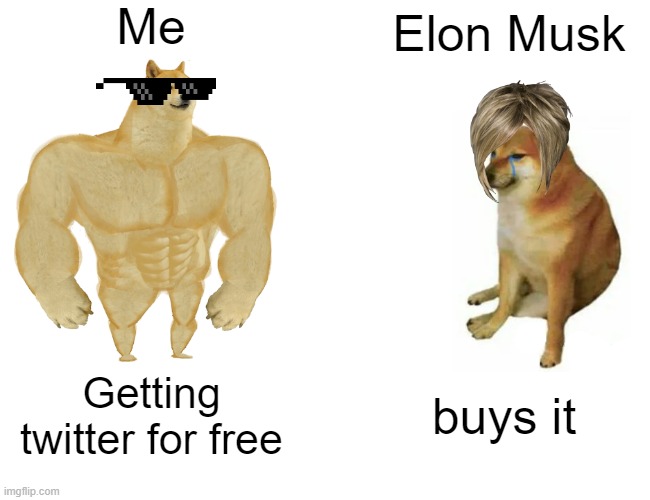 Buff Doge vs. Cheems | Me; Elon Musk; Getting twitter for free; buys it | image tagged in memes,buff doge vs cheems | made w/ Imgflip meme maker
