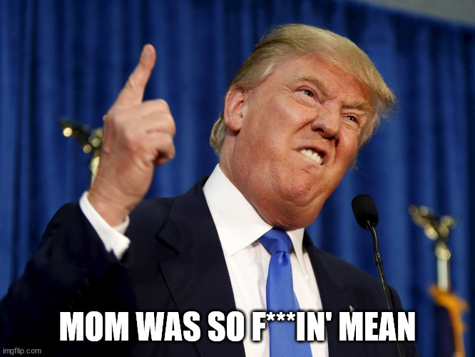 donald trump meme | MOM WAS SO F***IN' MEAN | image tagged in donald trump meme | made w/ Imgflip meme maker