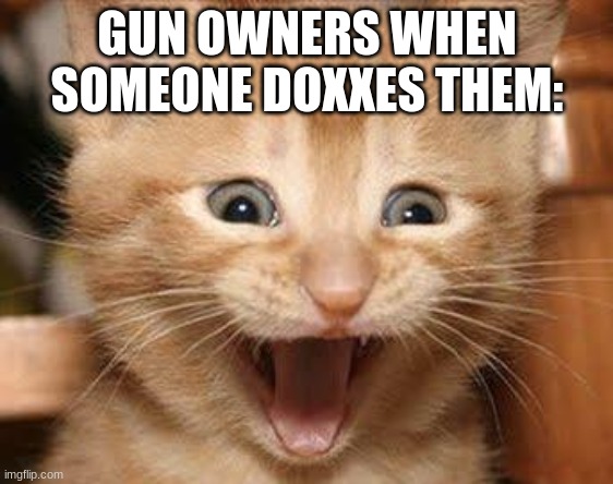 Excited Cat | GUN OWNERS WHEN SOMEONE DOXXES THEM: | image tagged in memes,excited cat | made w/ Imgflip meme maker