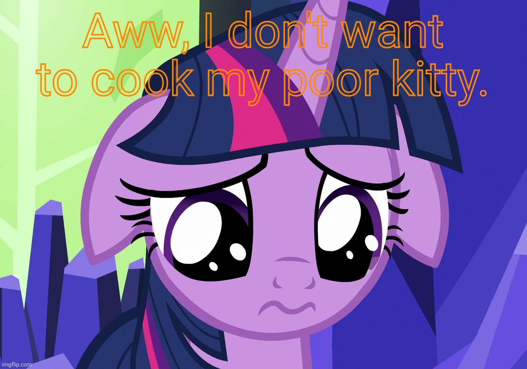 Sad Twilight (MLP) | Aww, I don't want to cook my poor kitty. | image tagged in sad twilight mlp | made w/ Imgflip meme maker