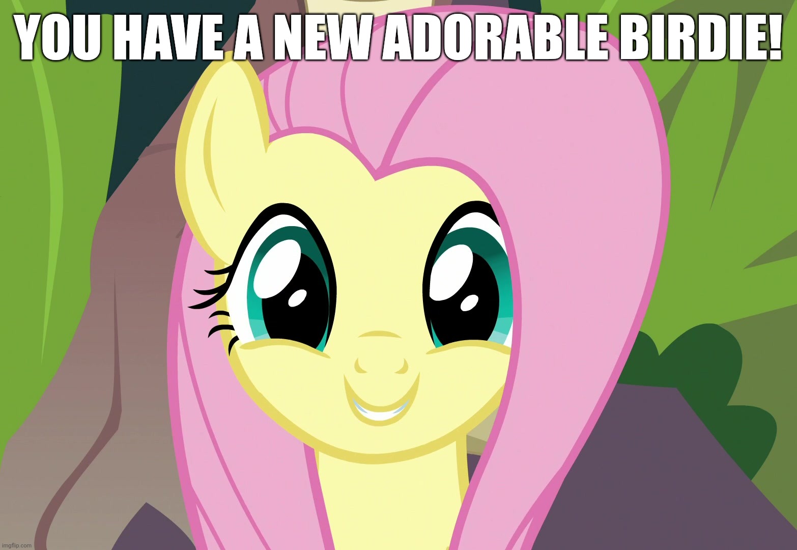 YOU HAVE A NEW ADORABLE BIRDIE! | made w/ Imgflip meme maker