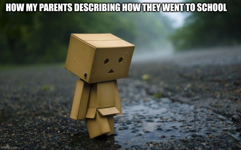 sad box mna |  HOW MY PARENTS DESCRIBING HOW THEY WENT TO SCHOOL | image tagged in memes,box | made w/ Imgflip meme maker