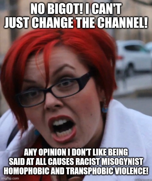 Feminist Face | NO BIGOT! I CAN'T JUST CHANGE THE CHANNEL! ANY OPINION I DON'T LIKE BEING SAID AT ALL CAUSES RACIST MISOGYNIST HOMOPHOBIC AND TRANSPHOBIC VI | image tagged in feminist face | made w/ Imgflip meme maker