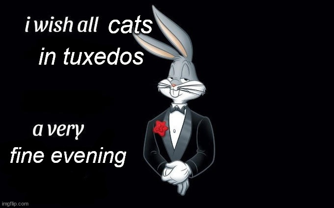 I wish all x a very y | cats in tuxedos fine evening | image tagged in i wish all x a very y | made w/ Imgflip meme maker