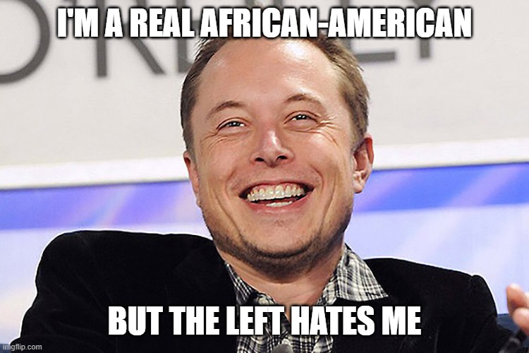 Elon musk | I'M A REAL AFRICAN-AMERICAN BUT THE LEFT HATES ME | image tagged in elon musk | made w/ Imgflip meme maker