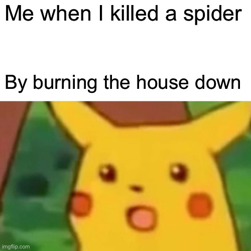 Surprised Pikachu | Me when I killed a spider; By burning the house down | image tagged in memes,surprised pikachu | made w/ Imgflip meme maker