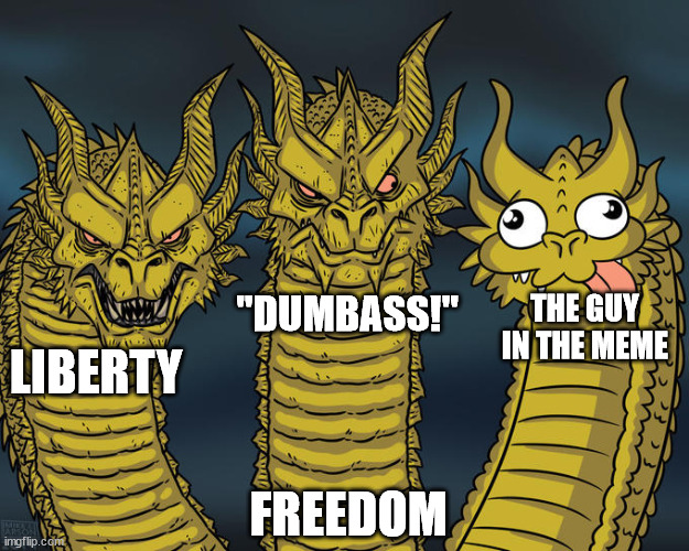 Three-headed Dragon | FREEDOM LIBERTY THE GUY IN THE MEME "DUMBASS!" | image tagged in three-headed dragon | made w/ Imgflip meme maker