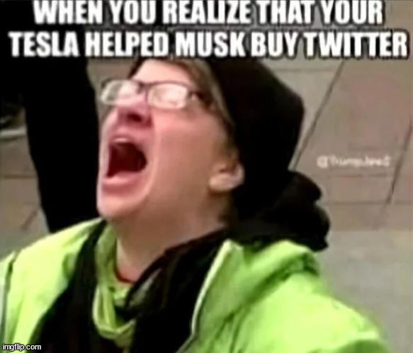 Ironic... | image tagged in elon musk,triggered,libtards | made w/ Imgflip meme maker