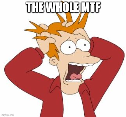 Fry Freaking Out | THE WHOLE MTF | image tagged in fry freaking out | made w/ Imgflip meme maker