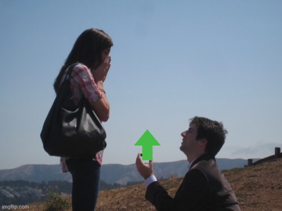 Marriage proposal | image tagged in marriage proposal | made w/ Imgflip meme maker