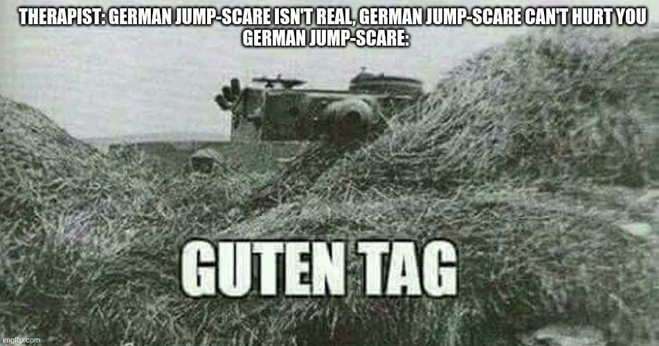 HAHAHA JA!!! | THERAPIST: GERMAN JUMP-SCARE ISN'T REAL, GERMAN JUMP-SCARE CAN'T HURT YOU
GERMAN JUMP-SCARE: | image tagged in german guten tag tiger,jumpscare | made w/ Imgflip meme maker