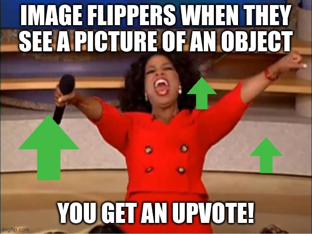 Oprah You Get A | IMAGE FLIPPERS WHEN THEY SEE A PICTURE OF AN OBJECT; YOU GET AN UPVOTE! | image tagged in memes,oprah you get a,upvote | made w/ Imgflip meme maker