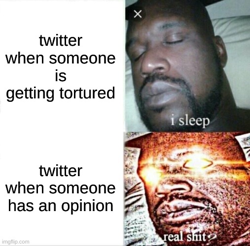 twitter hates opinions |  twitter when someone is getting tortured; twitter when someone has an opinion | image tagged in memes,sleeping shaq,twitter,funny,funny memes,shaq | made w/ Imgflip meme maker