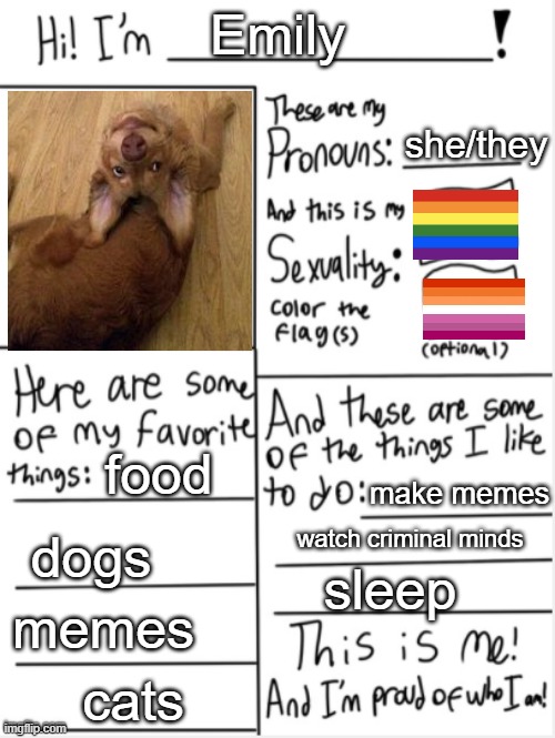 THIS IS ME | Emily; she/they; food; make memes; dogs; watch criminal minds; sleep; memes; cats | image tagged in this is me,im gay | made w/ Imgflip meme maker