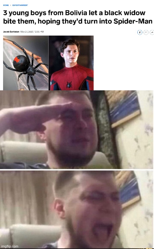 F | image tagged in crying salute,memes,funny,funny memes,spiderman,spider | made w/ Imgflip meme maker