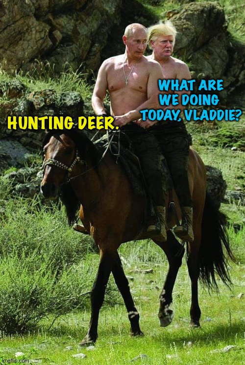 Putin Trump Lovers Hi-Rez | WHAT ARE WE DOING 
TODAY, VLADDIE? HUNTING DEER. | image tagged in putin trump lovers hi-rez | made w/ Imgflip meme maker