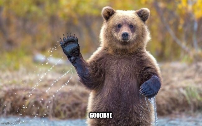 waving bear | GOODBYE | image tagged in waving bear | made w/ Imgflip meme maker