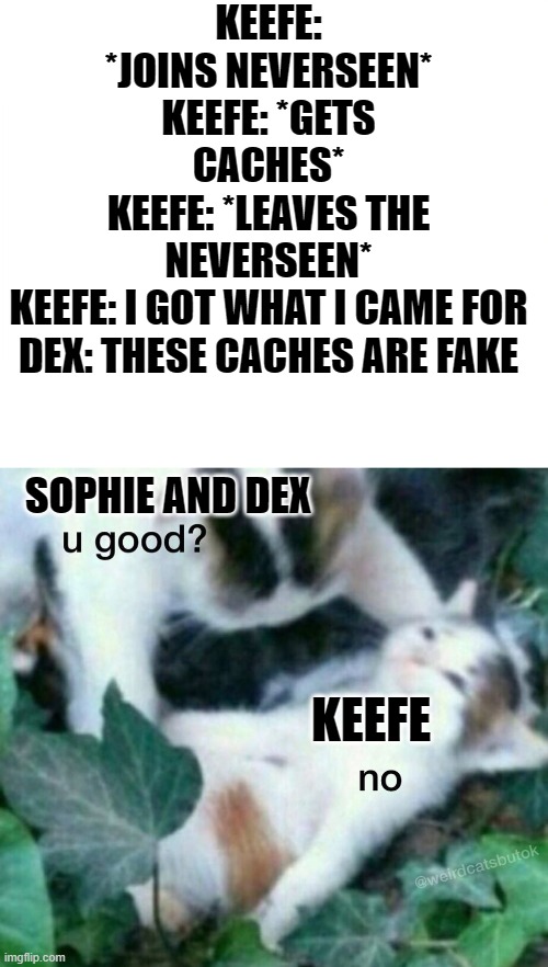 Spoiler for Book 6-Nightfall | KEEFE: *JOINS NEVERSEEN*
KEEFE: *GETS CACHES*
KEEFE: *LEAVES THE NEVERSEEN*
KEEFE: I GOT WHAT I CAME FOR

DEX: THESE CACHES ARE FAKE; SOPHIE AND DEX; KEEFE | image tagged in u good no,keeper of the lost cities | made w/ Imgflip meme maker