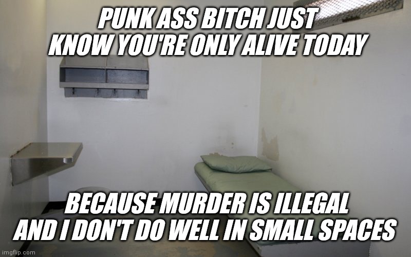 Prison cells don't suit me | PUNK ASS BITCH JUST KNOW YOU'RE ONLY ALIVE TODAY; BECAUSE MURDER IS ILLEGAL AND I DON'T DO WELL IN SMALL SPACES | image tagged in memes,things are getting serious | made w/ Imgflip meme maker