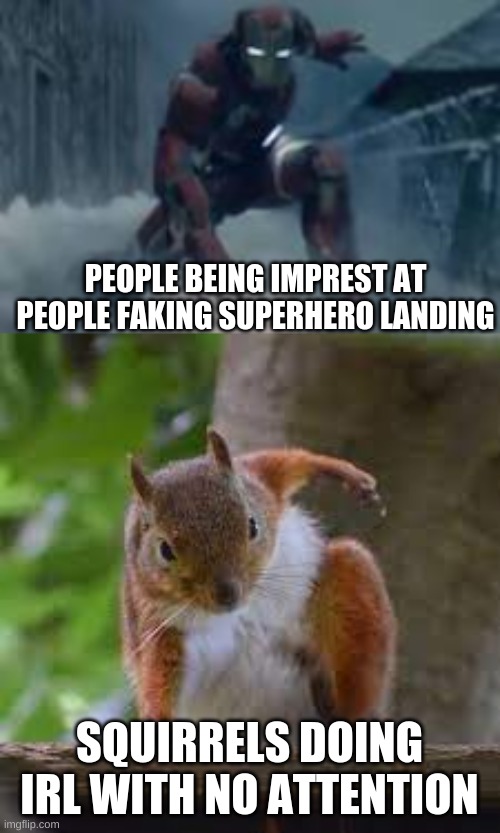superhero landing | PEOPLE BEING IMPREST AT PEOPLE FAKING SUPERHERO LANDING; SQUIRRELS DOING IRL WITH NO ATTENTION | image tagged in squirrels | made w/ Imgflip meme maker