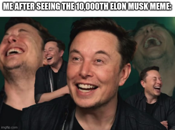 *Insert good title here* | ME AFTER SEEING THE 10,000TH ELON MUSK MEME: | image tagged in elon musk laughing | made w/ Imgflip meme maker